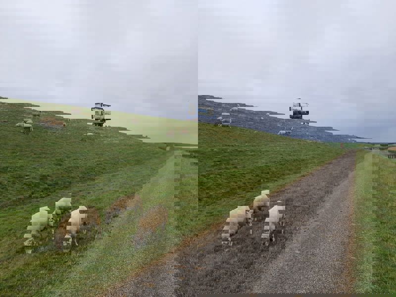IMG 20240822 WA0017